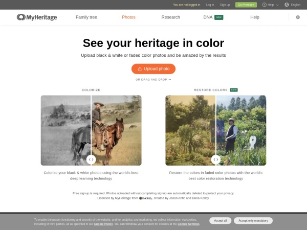 MyHeritage In Color Ai Review